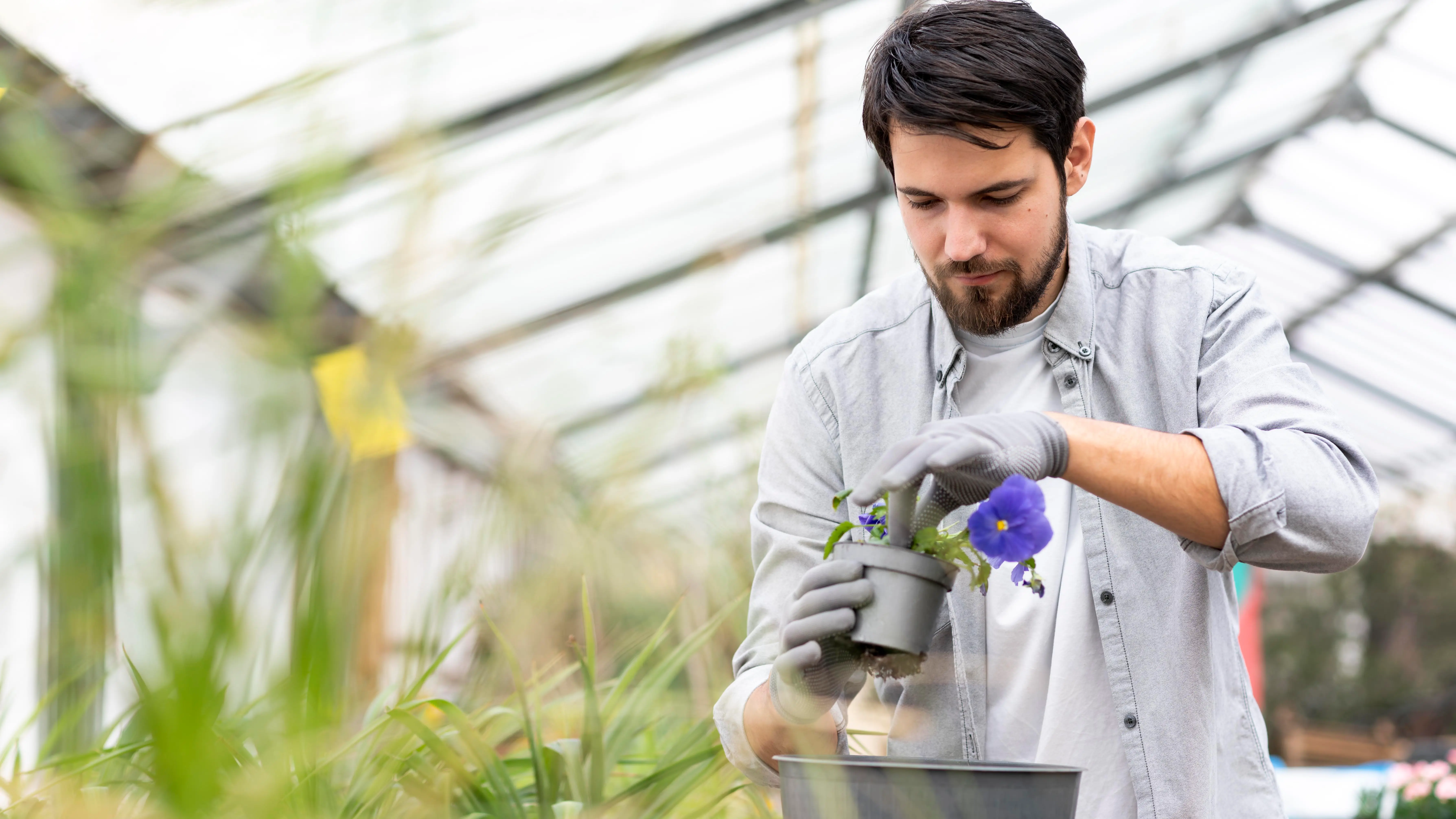 Agricultural scene 4